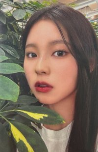 官方第一期周邊 滿額卡 圭