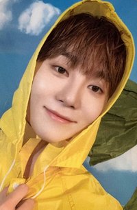 MINI11 專輯卡 ｜CARAT ver.
