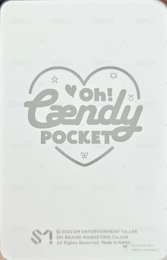 白情 隨機卡 冬 背面