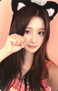 仲夏夜 wm 線下 3.0 簽售卡 小貓