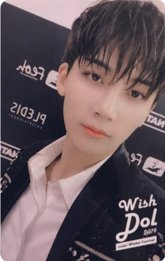 其他 入場卡 / 場限卡 19‘coex冬日慶典限定 wishdol