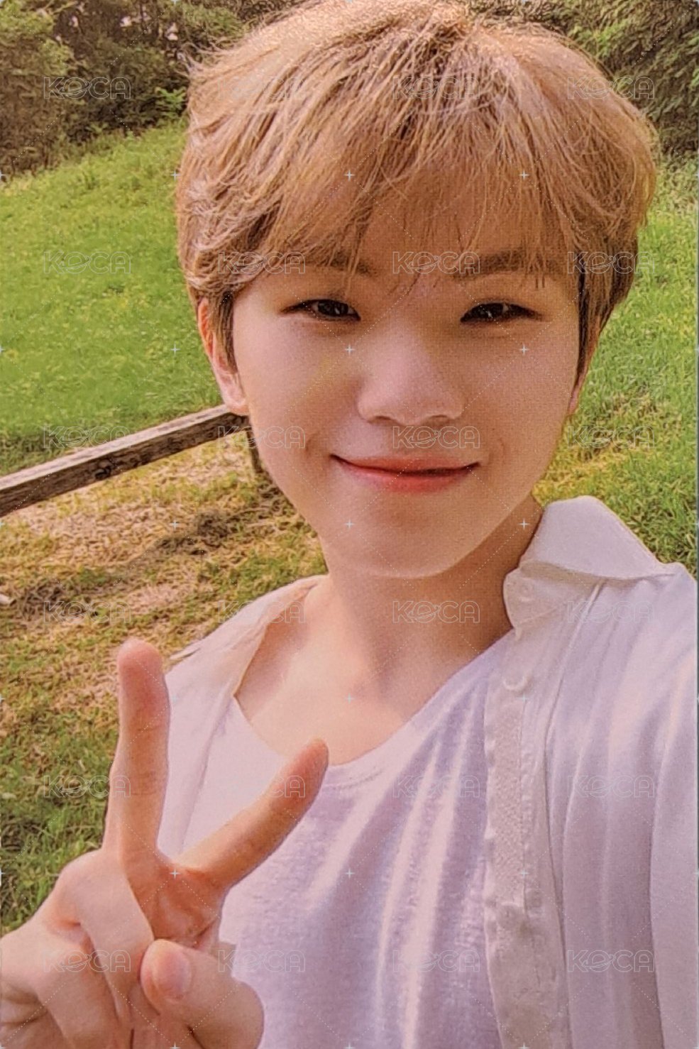 SOCIAL CLUB 周邊卡 DA CAPO ver. 正面