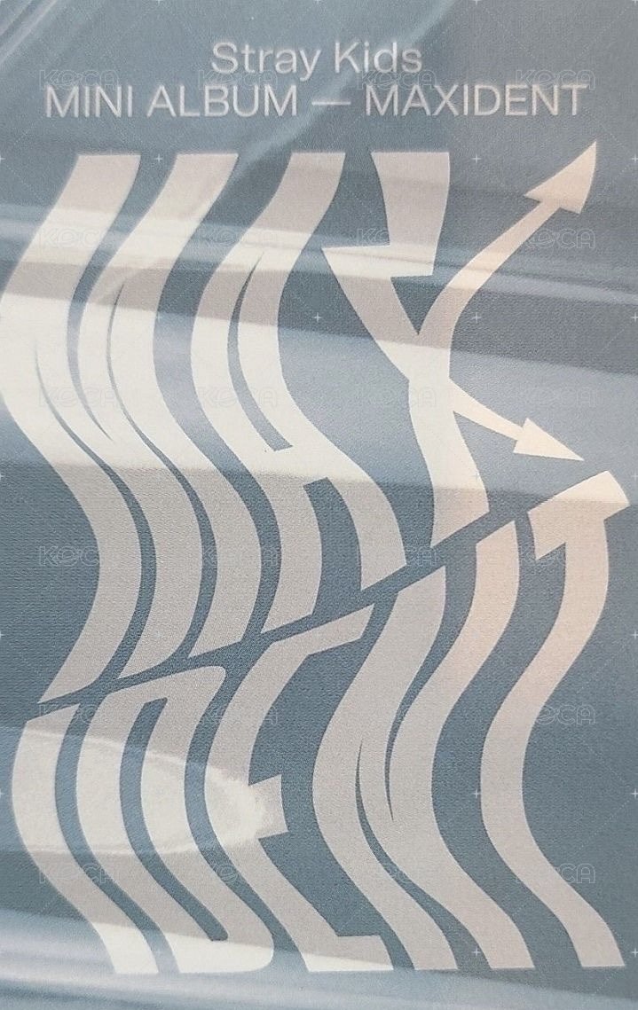 MAXIDENT bn 特典卡  背面