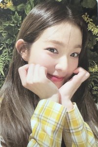 Red Velvet 2023 SEASON'S GREETINGS 年曆卡 2023 Season’s Greetings 台曆 Irene固配自拍小卡