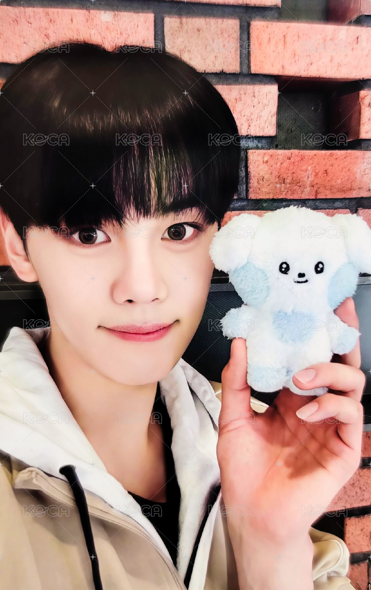 zeroni 周邊卡 盒娃卡 正面