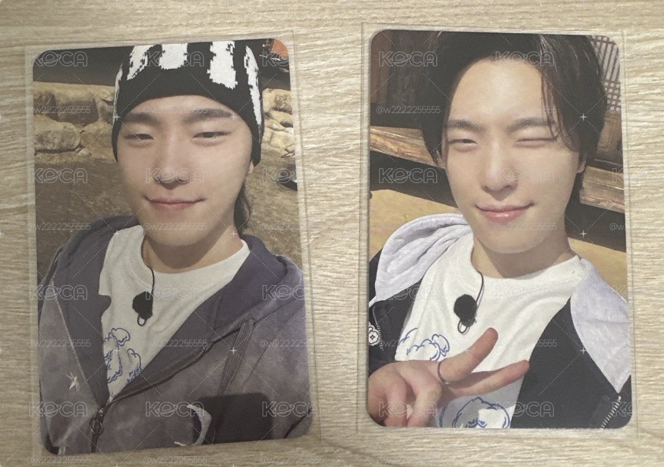 seventeen nanabnb dino