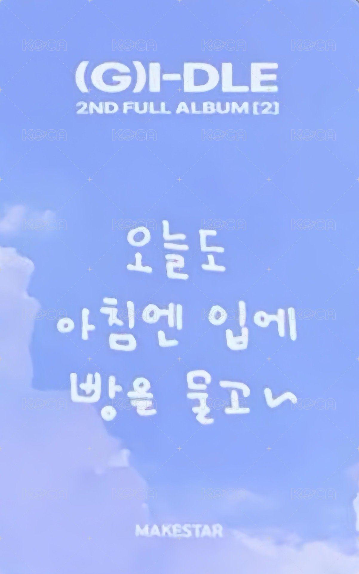 正規二 ms 9.0 簽售卡 fate娟 背面