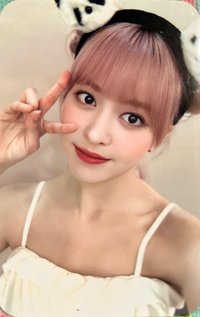 仲夏夜 楠藝 簽售卡 熊貓