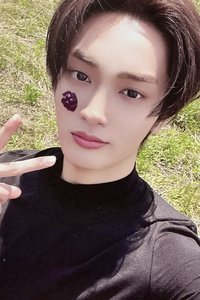 DtC 專輯卡 MD ver.