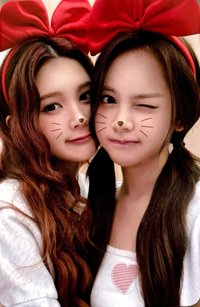 Style el 3.0 幸運卡 