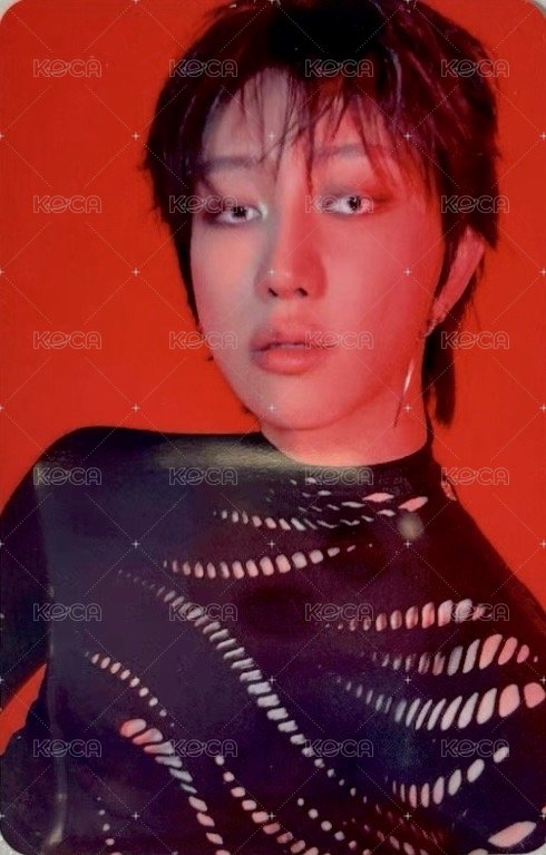 正五 oy 特典卡  正面