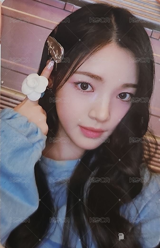 單一 wvs 特典卡  正面