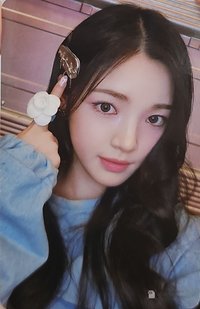 單一 wvs 特典卡 