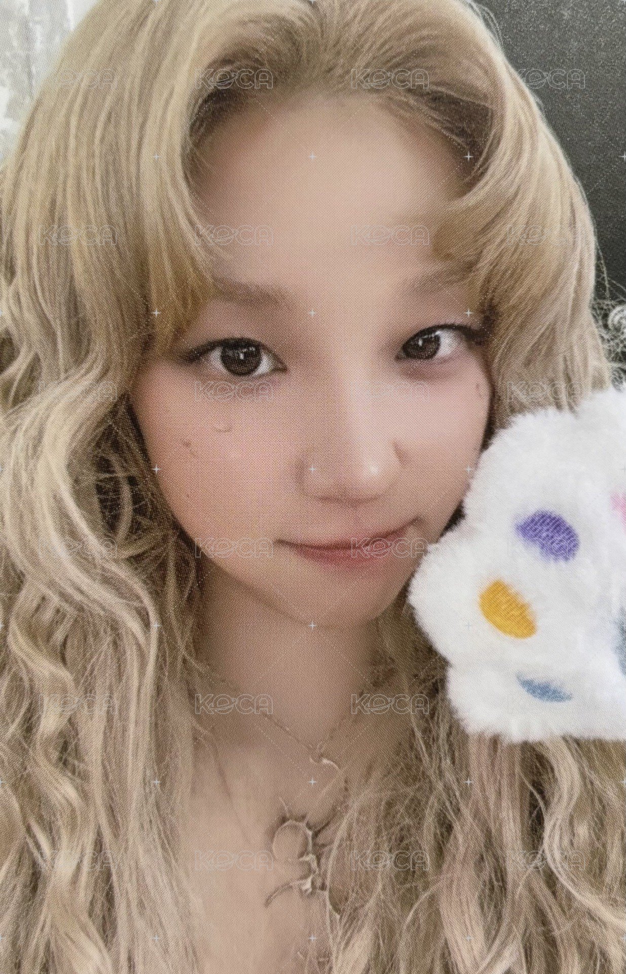 We are k4 預售 特典卡 A ver 貓掌 正面