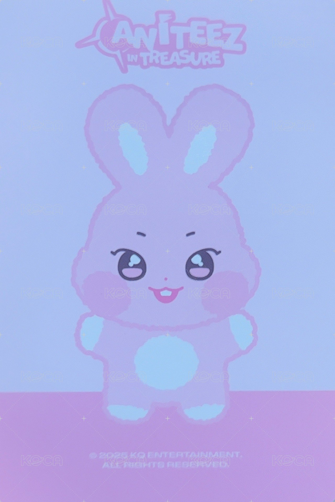 ANITEEZ IN TREASURE 周邊卡 MINI PLUSH 背面