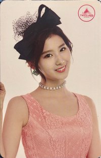 TWICELAND 周邊卡 小卡組-半身 SANA