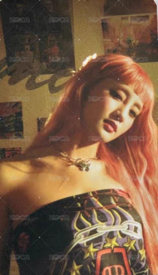 DUMDi DUMDi 專輯卡  正面