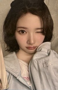 Focus 周邊卡 MD2.0 外套