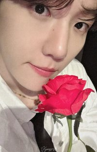 bolo5 am 2.0 幸運卡 