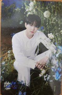 WTL FINAL wvs 隨機卡 元05/08 官拍卡