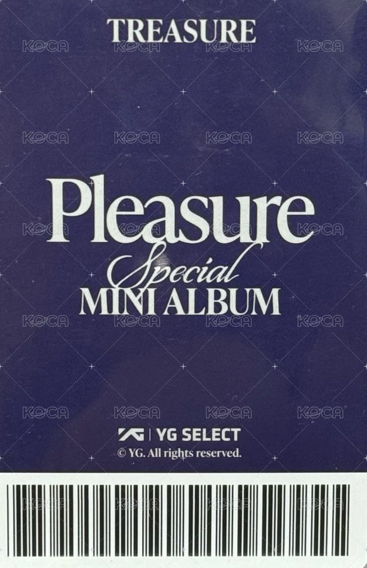 PLEASURE yg 特典卡 中通B ver. 背面
