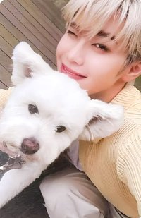 正規一 專輯卡 團封 狗狗 ver.