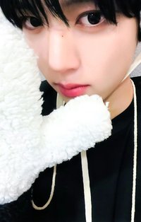 迷二 ms 特典卡 北極熊 ver.