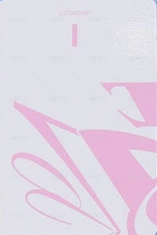 IVE SWITCH 隨機卡 Line Friends 快閃店 背面