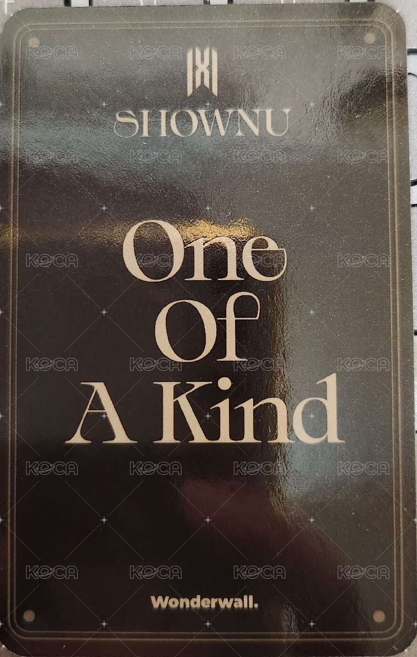 OOAK wonderwall 特典卡  背面