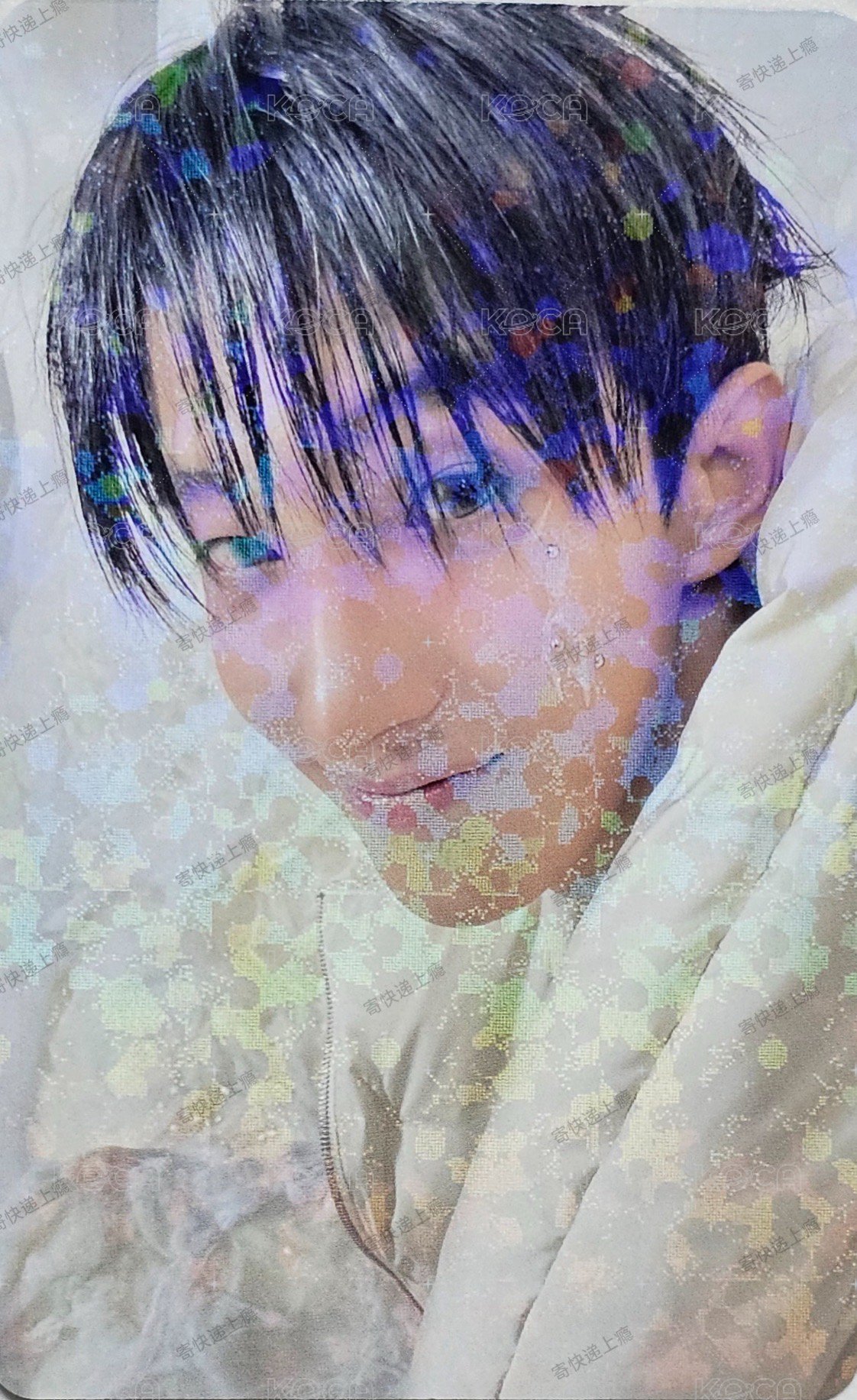 正五 日咖 WVSJP PB預售 特典卡  正面