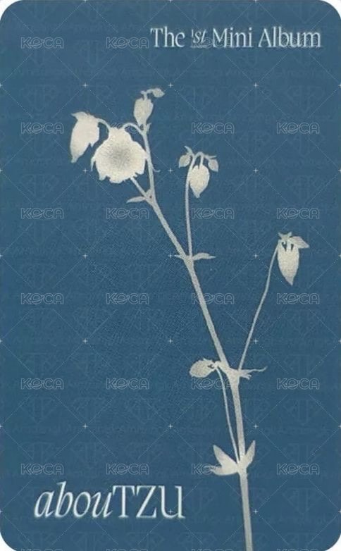 aboutTzu  jyp 滿額卡  背面