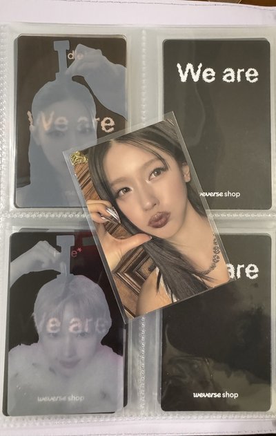 we are wvs 簽售卡