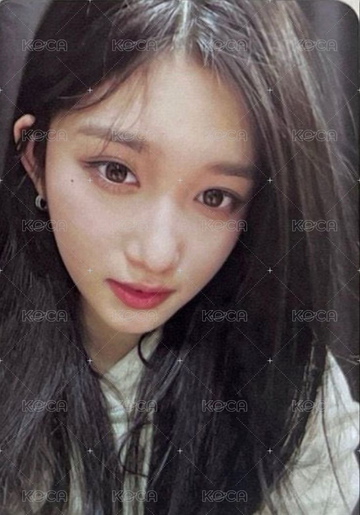 23’FC 演唱會 DVD / CD 卡 Kit ver. 正面