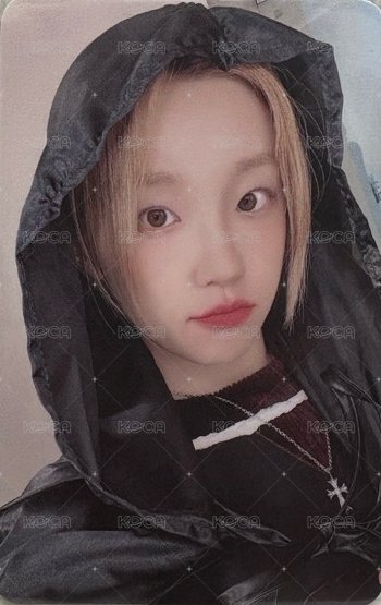 正規二 ms 6.0 簽售卡  正面