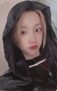 正規二 ms 6.0 簽售卡 