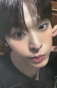 Songbird kms 5.0 v1 簽售卡 