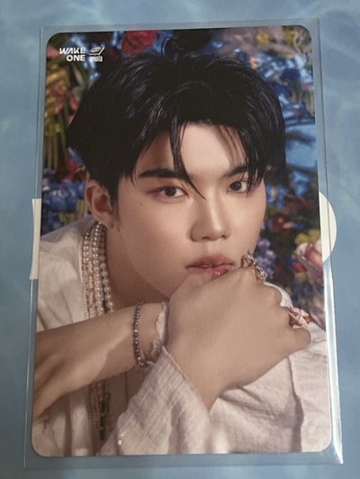 在花花的世界遨遊🌼