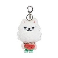 PPULBATU夏日快閃 娃娃玩偶 西瓜崔勇猛