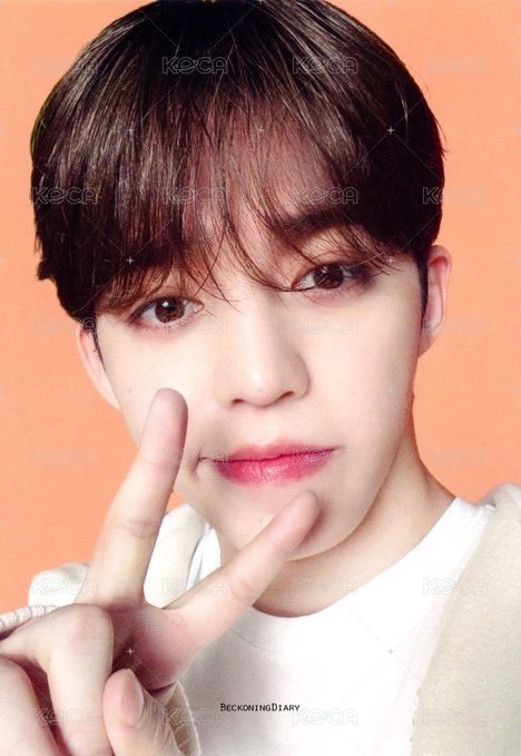 FOLLOW AGAIN 隨機卡 ｜日巡卡包 正面