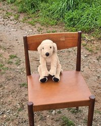minipotato