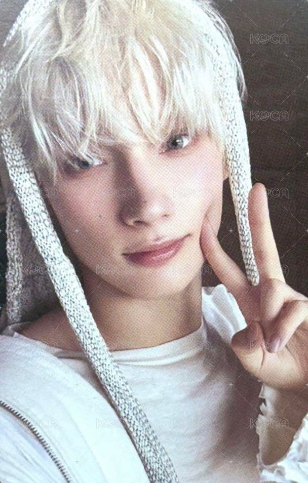 正四 專輯卡 電子專B A版 正面