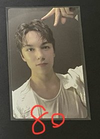 VERNON 迷12 WVS特典卡 