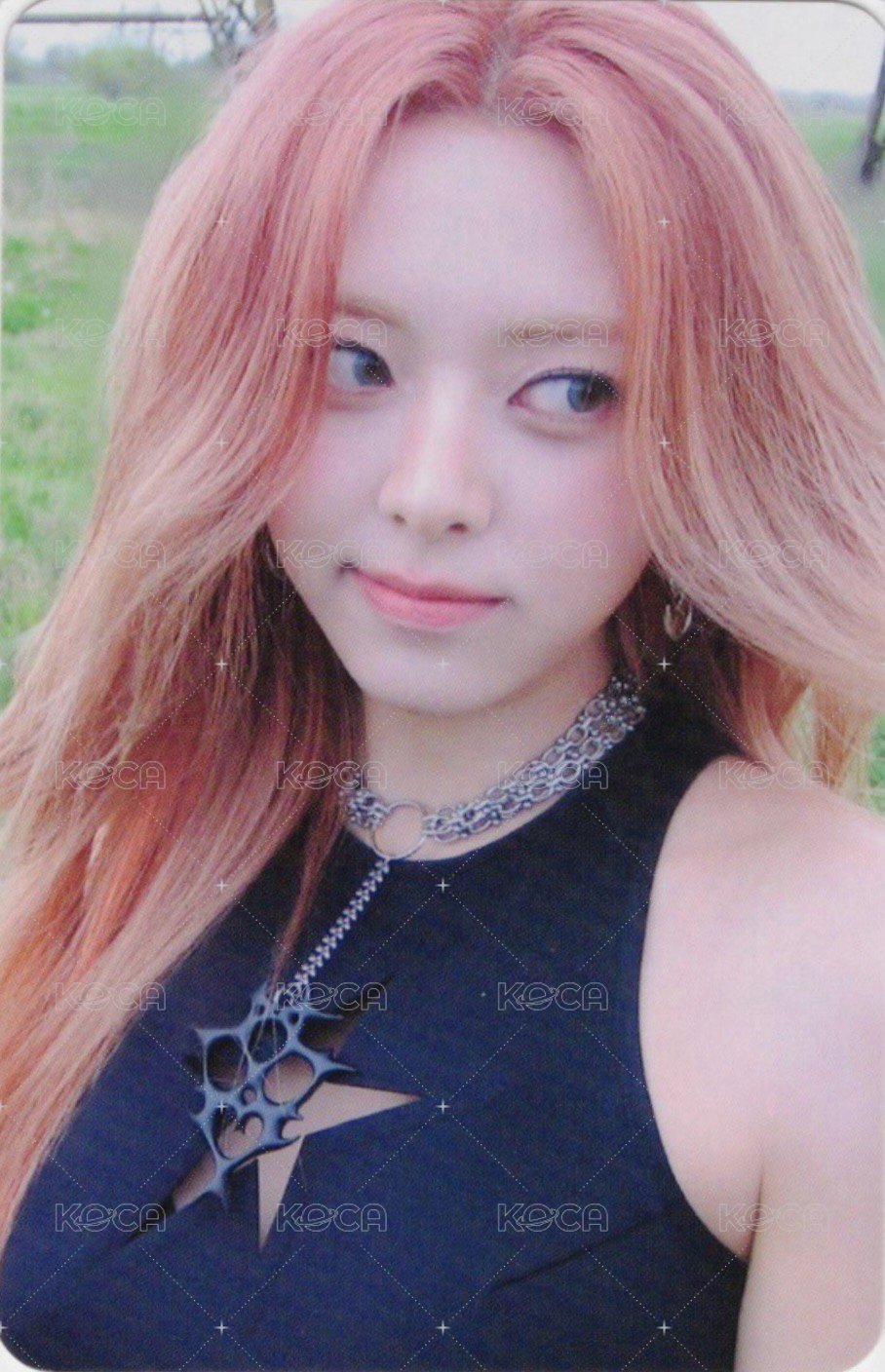 GWBG ms 預售 特典卡 花絮卡 正面