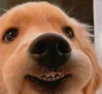 嘻