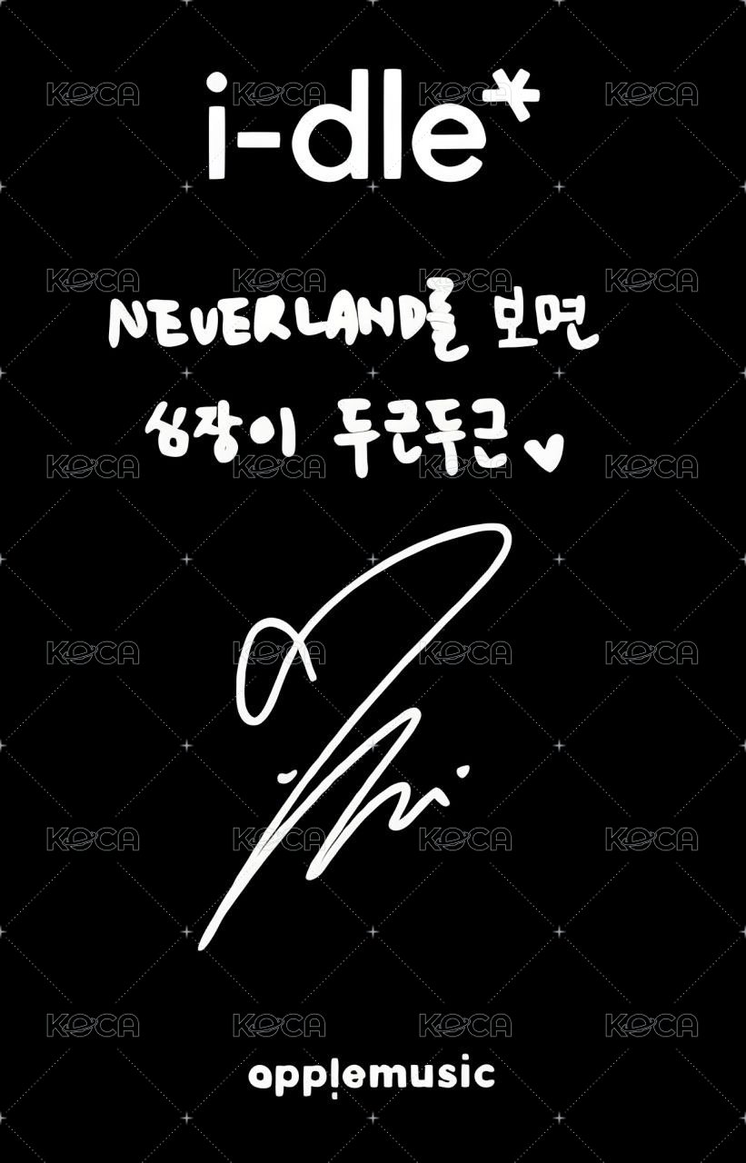 We are am 特典卡 預售 背面