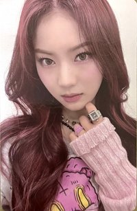 Teddy Bear 專輯卡 teddy bear專卡