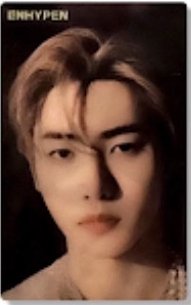 定めSADAME 環球 特典卡 