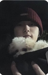 wnt 專輯卡 Xoul版