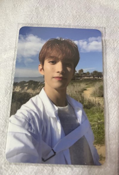 17-碩🐶/小卡區