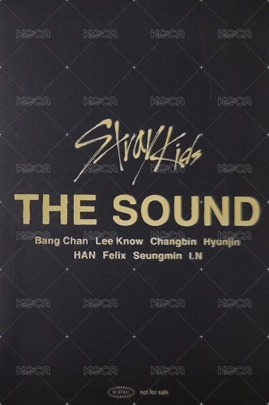 THE SOUND 入場卡 / 場限卡 大阪 02/26 背面